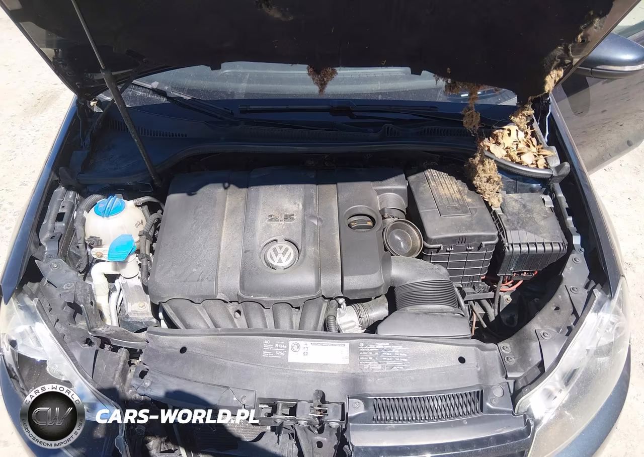 2010 Volkswagen Golf 4-Door VIN:WVWDB7AJ4AW240209 - 10