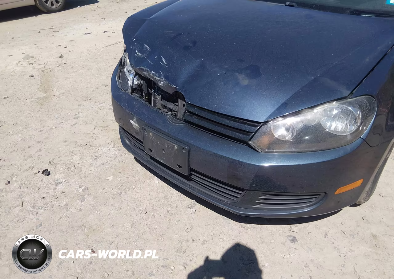 2010 Volkswagen Golf 4-Door VIN:WVWDB7AJ4AW240209 - 6