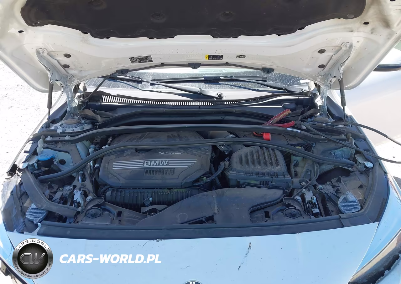 2022 BMW 228 Gran Coupe I xDrive VIN:WBA73AK07N7K14651 - 10