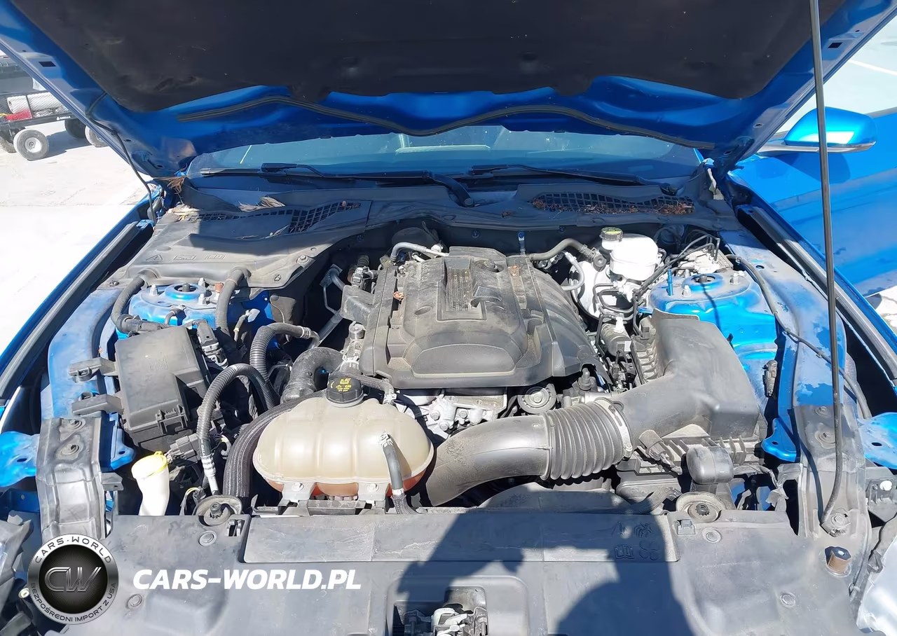2019 Ford Mustang Ecoboost Premium VIN:1FA6P8TH7K5135137 - 10
