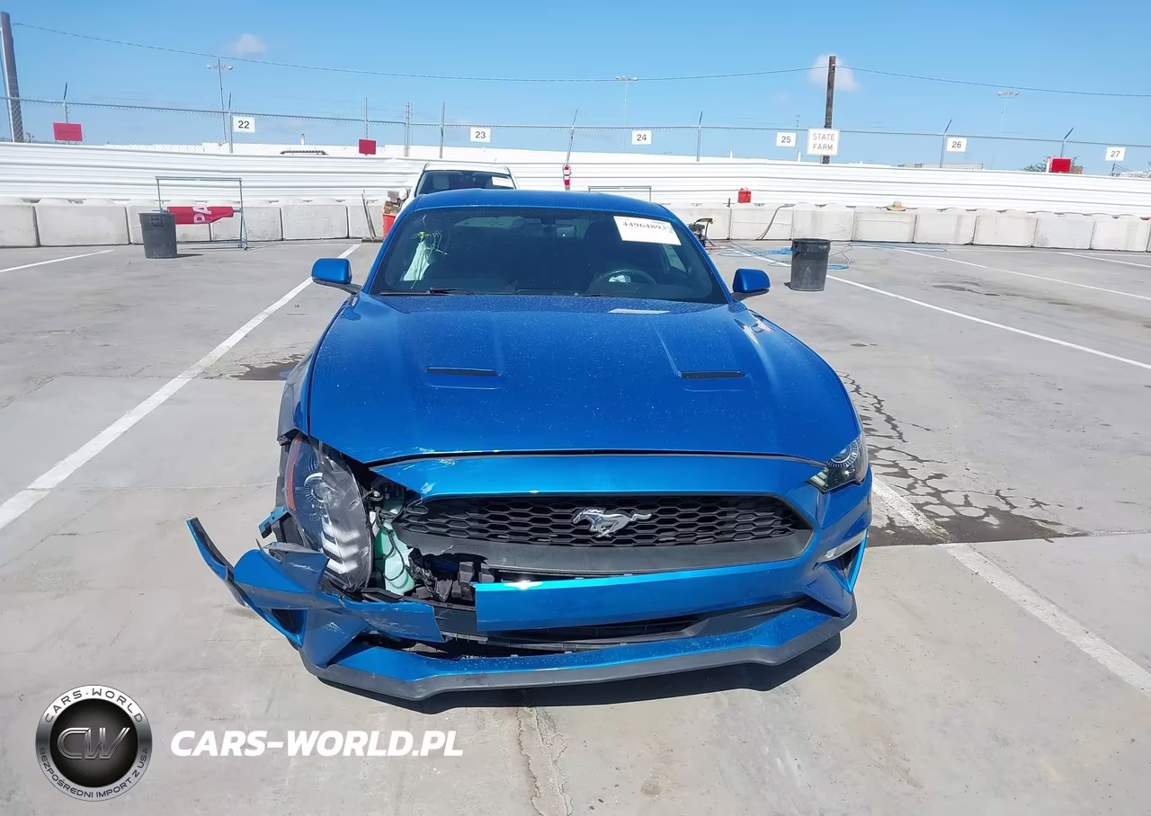 2019 Ford Mustang Ecoboost Premium VIN:1FA6P8TH7K5135137 - 12