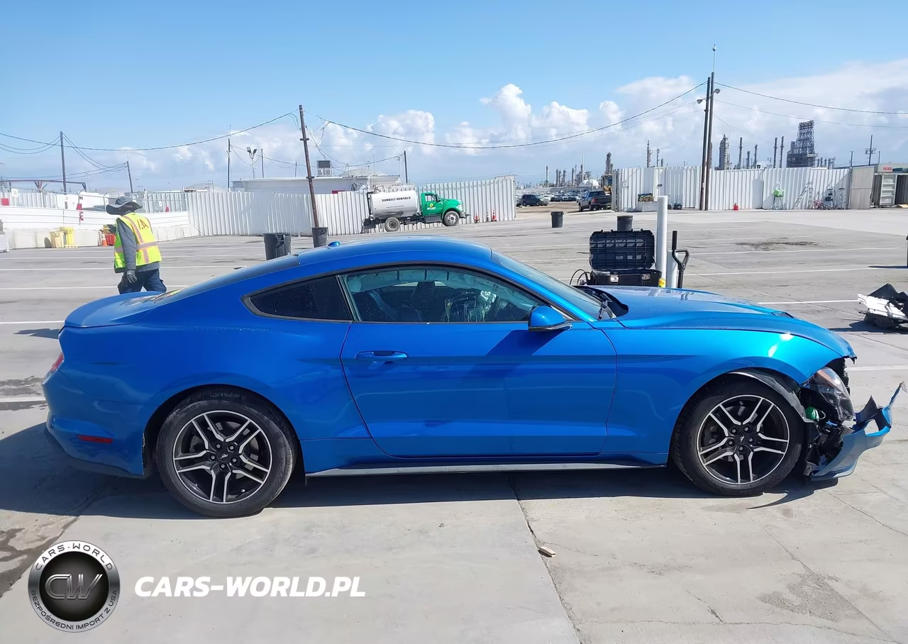 2019 Ford Mustang Ecoboost Premium VIN:1FA6P8TH7K5135137 - 13