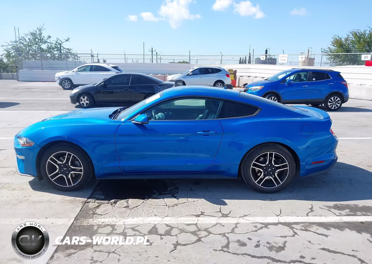 2019 Ford Mustang Ecoboost Premium VIN:1FA6P8TH7K5135137 - 14