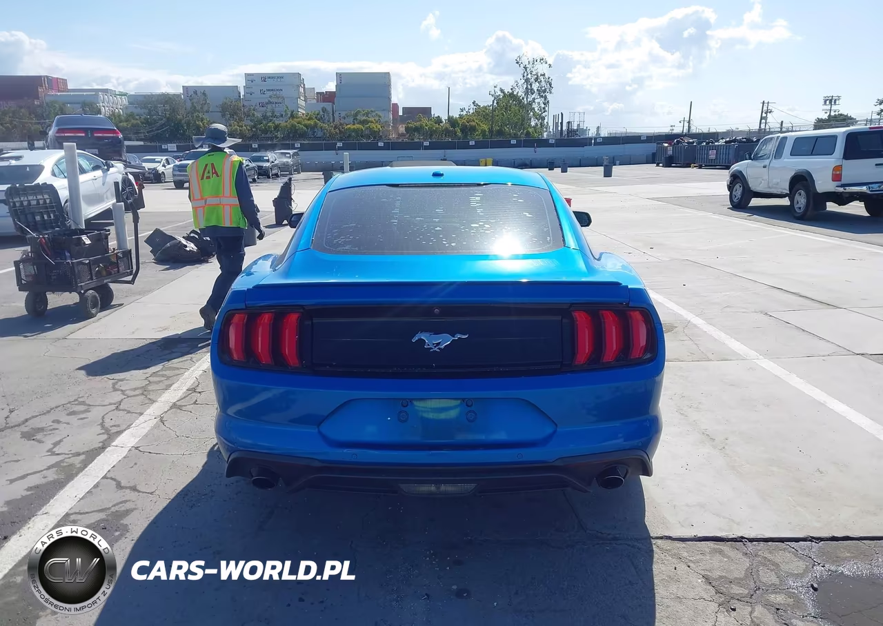 2019 Ford Mustang Ecoboost Premium VIN:1FA6P8TH7K5135137 - 16