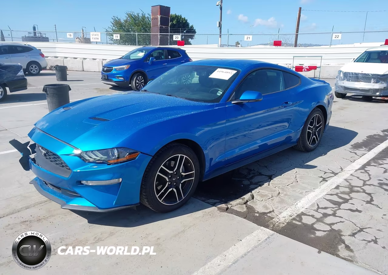 2019 Ford Mustang Ecoboost Premium VIN:1FA6P8TH7K5135137 - 2