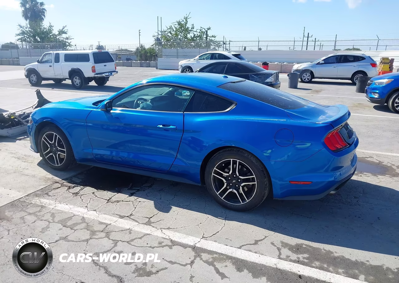 2019 Ford Mustang Ecoboost Premium VIN:1FA6P8TH7K5135137 - 3
