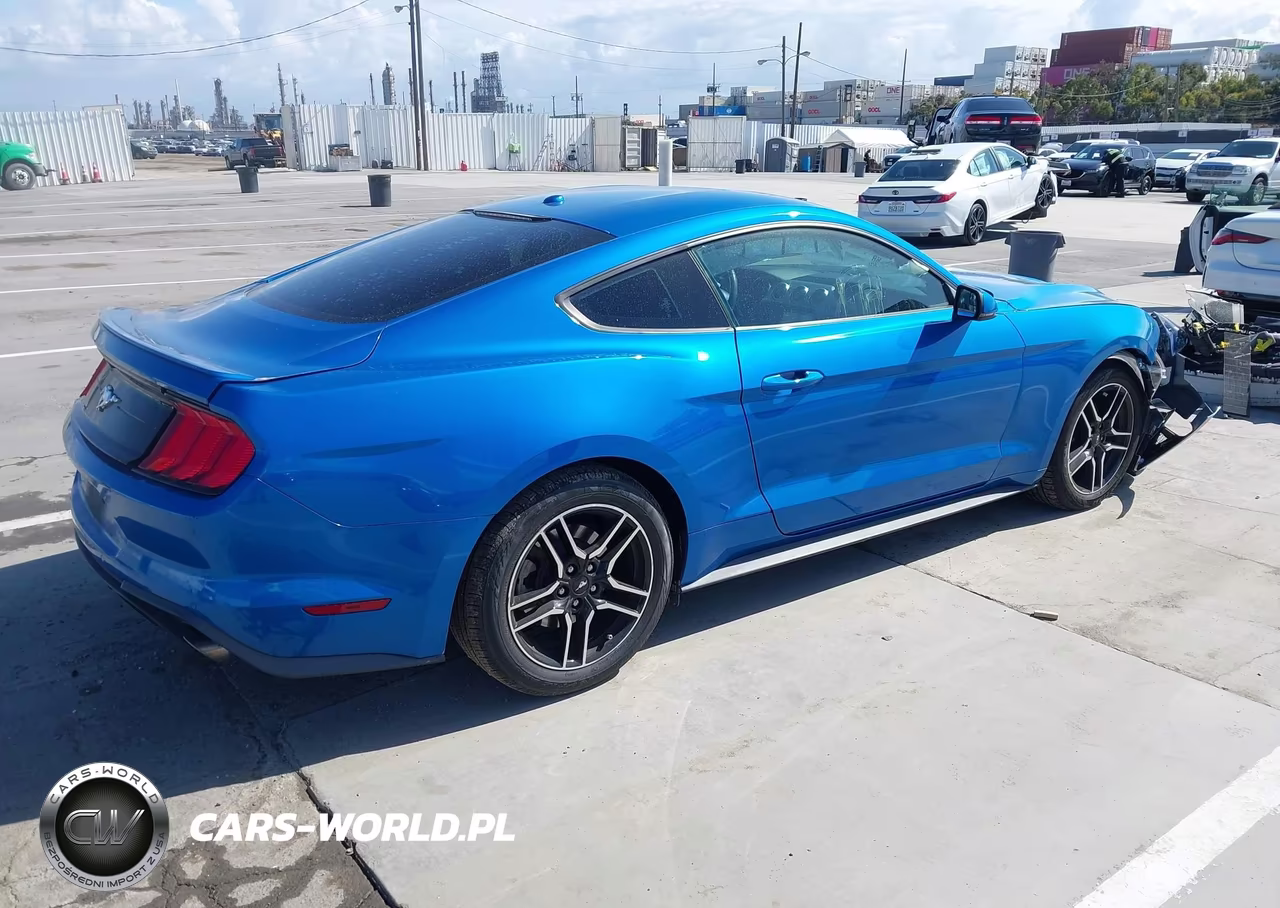 2019 Ford Mustang Ecoboost Premium VIN:1FA6P8TH7K5135137 - 4