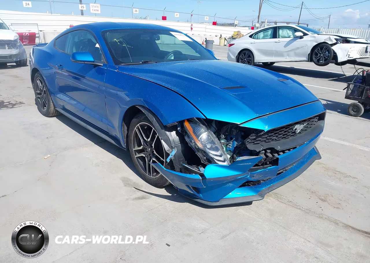 2019 Ford Mustang Ecoboost Premium VIN:1FA6P8TH7K5135137 - 6