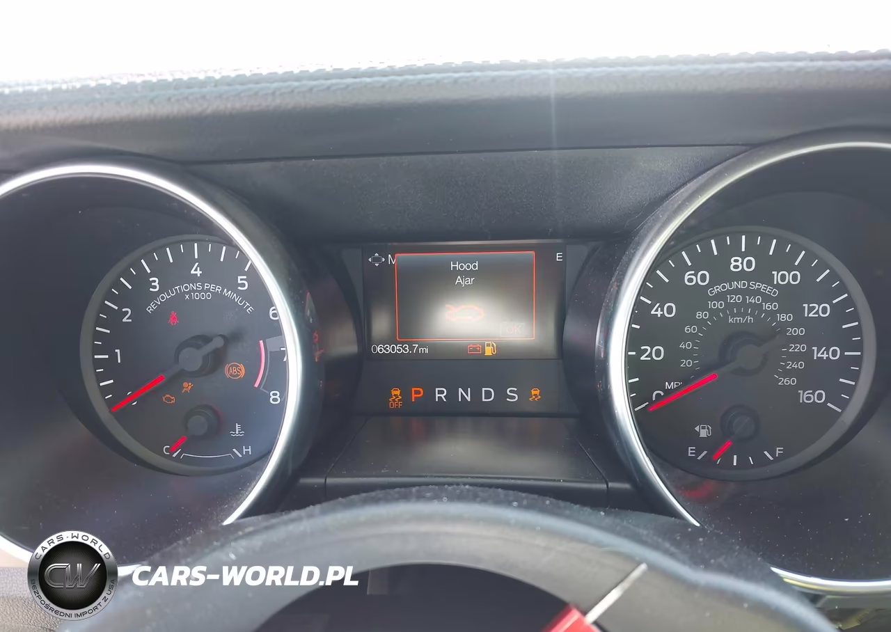 2019 Ford Mustang Ecoboost Premium VIN:1FA6P8TH7K5135137 - 7