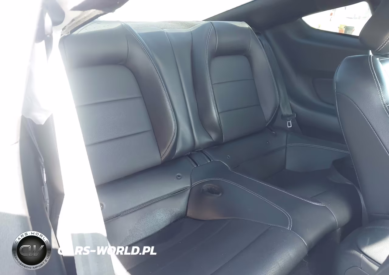 2019 Ford Mustang Ecoboost Premium VIN:1FA6P8TH7K5135137 - 8