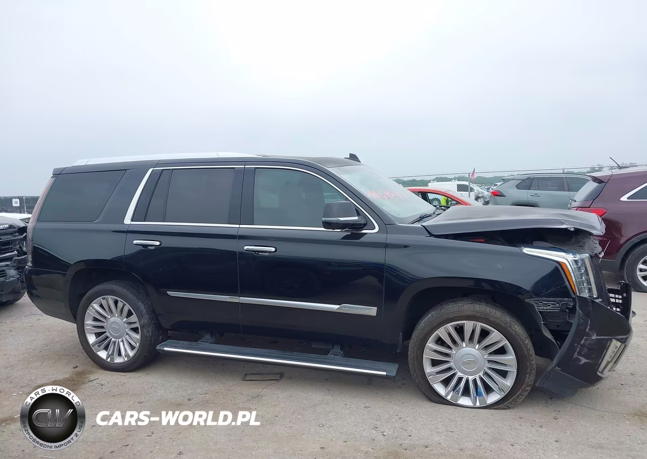 2017 Cadillac Escalade Platinum VIN:1GYS3DKJ7HR120618 - 13