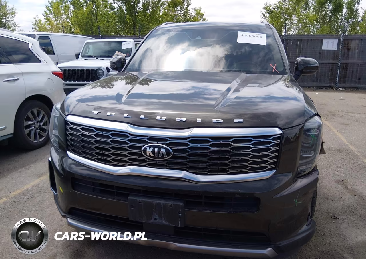 2020 Kia Telluride S VIN:5XYP6DHC4LG037103 - 12
