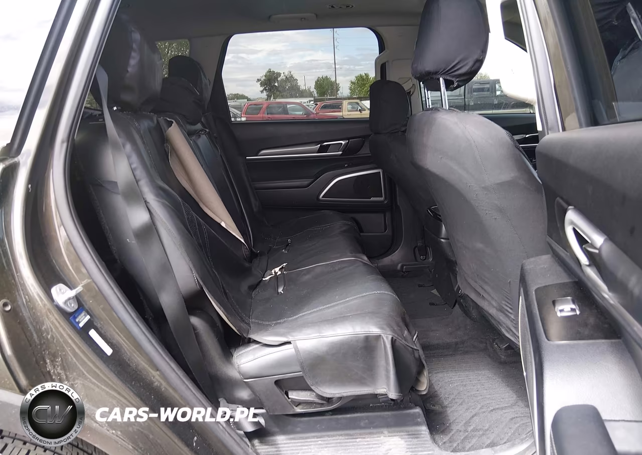 2020 Kia Telluride S VIN:5XYP6DHC4LG037103 - 8