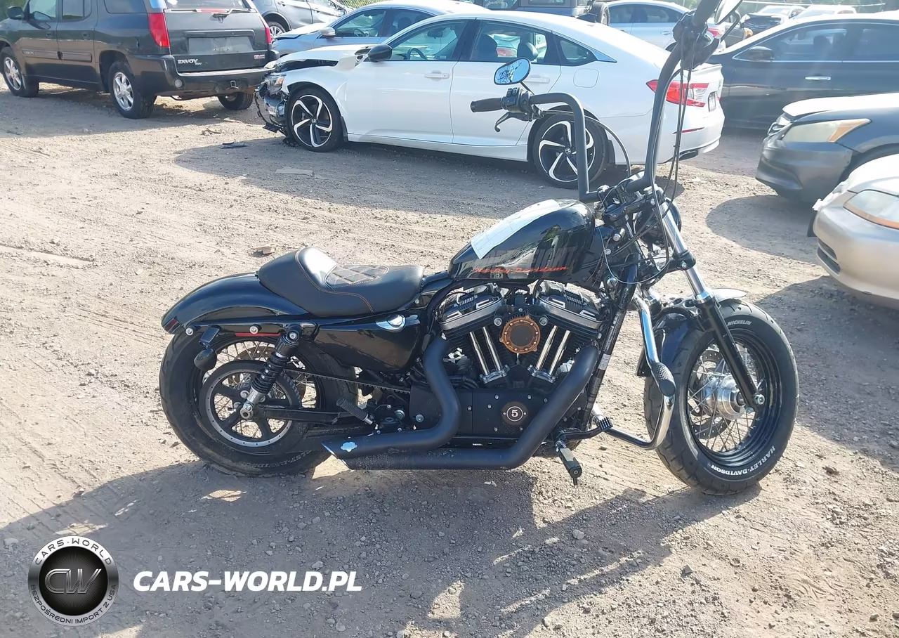2015 Harley-Davidson Xl1200 Forty-Eight VIN:1HD1LC312FC428093 - 12