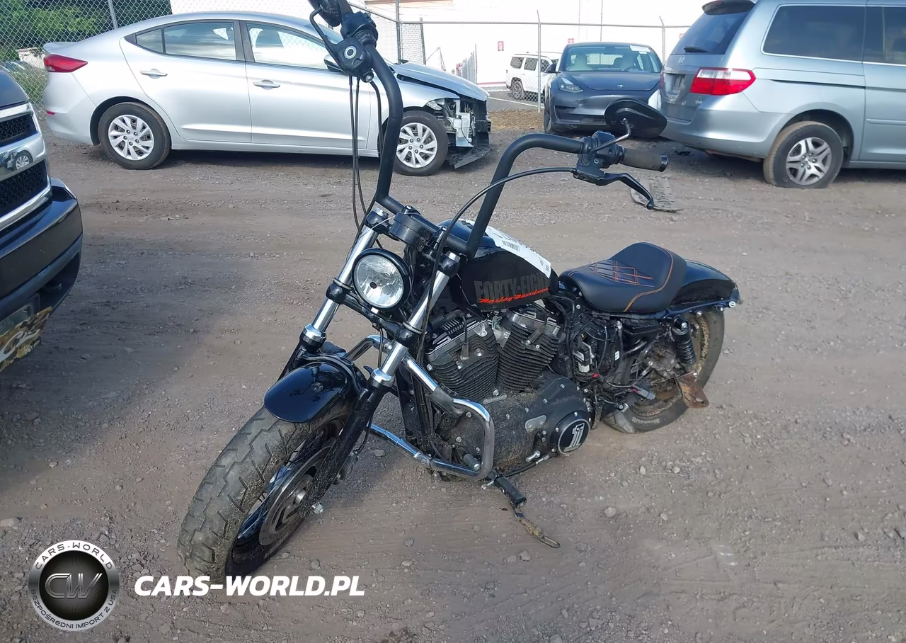 2015 Harley-Davidson Xl1200 Forty-Eight VIN:1HD1LC312FC428093 - 2