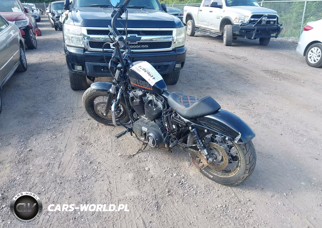 2015 Harley-Davidson Xl1200 Forty-Eight VIN:1HD1LC312FC428093 - 3