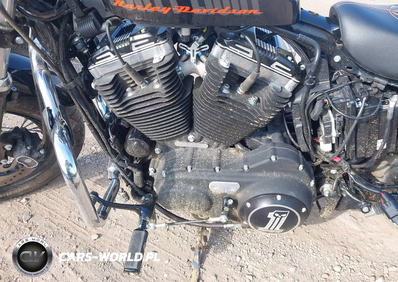 2015 Harley-Davidson Xl1200 Forty-Eight VIN:1HD1LC312FC428093 - 9