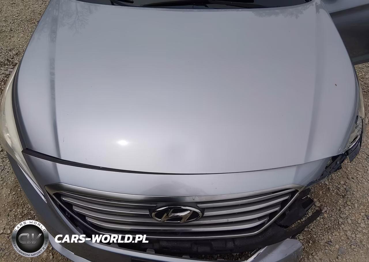 2015 Hyundai Sonata Se VIN:5NPE24AF5FH229764 - 10