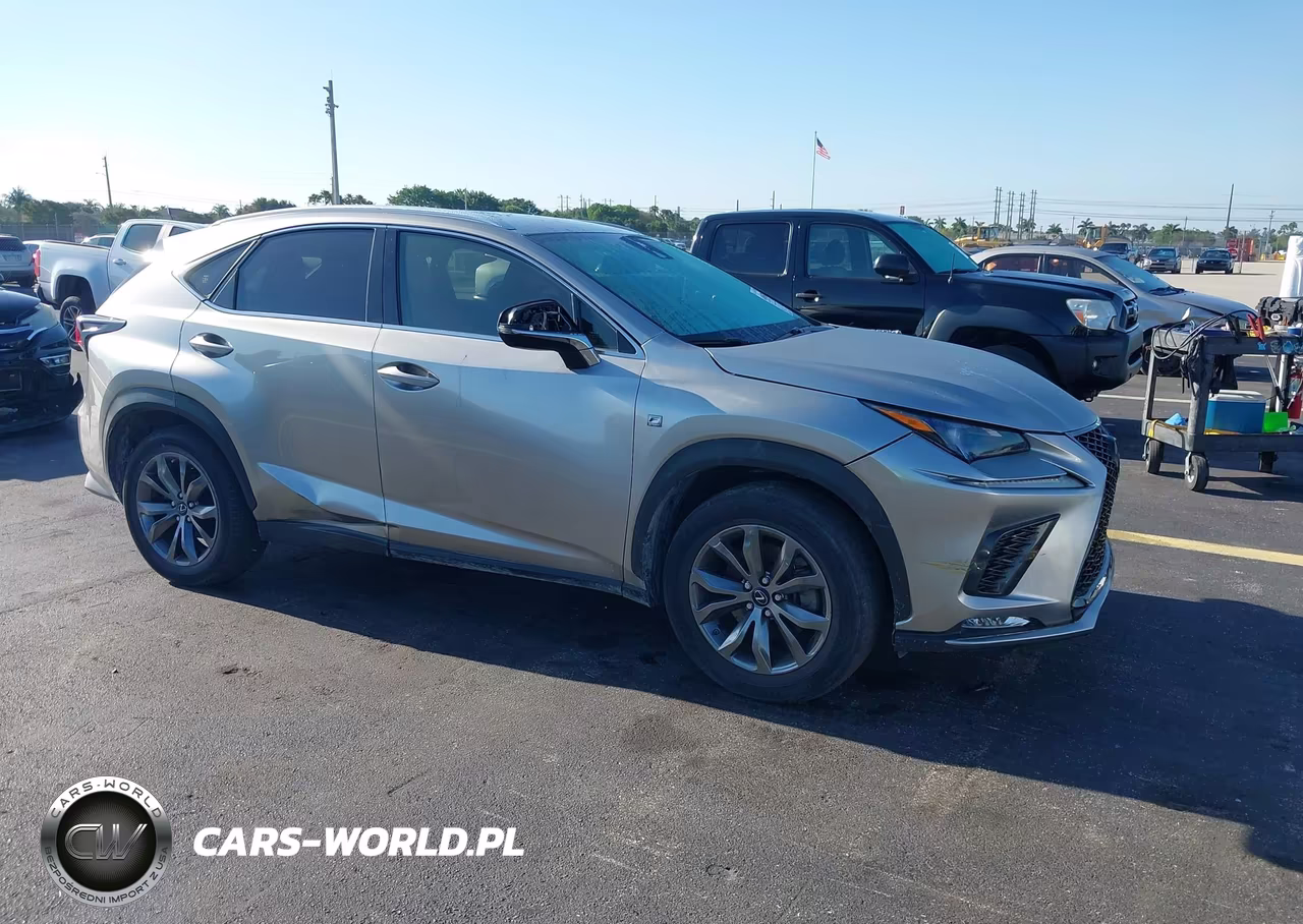 2020 Lexus Nx 300 F Sport