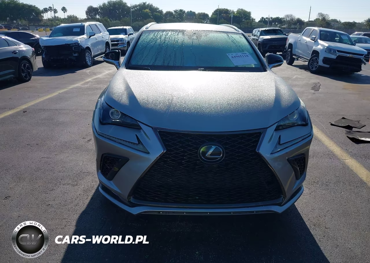 2020 Lexus Nx 300 F Sport VIN:JTJJARBZ6L2172170 - 12
