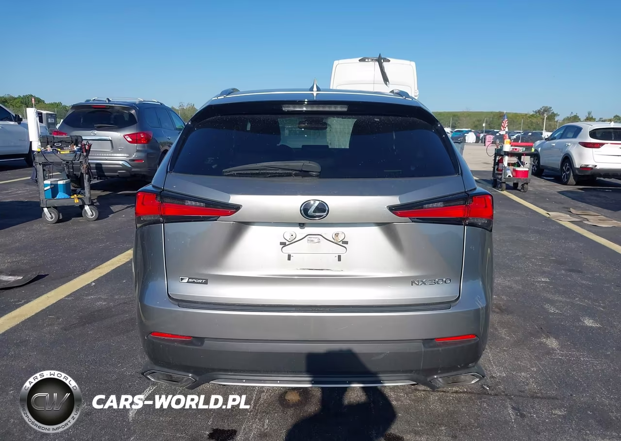 2020 Lexus Nx 300 F Sport VIN:JTJJARBZ6L2172170 - 16