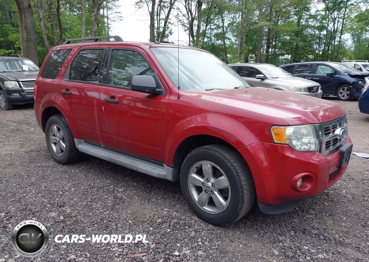 2011 Ford Escape Xlt