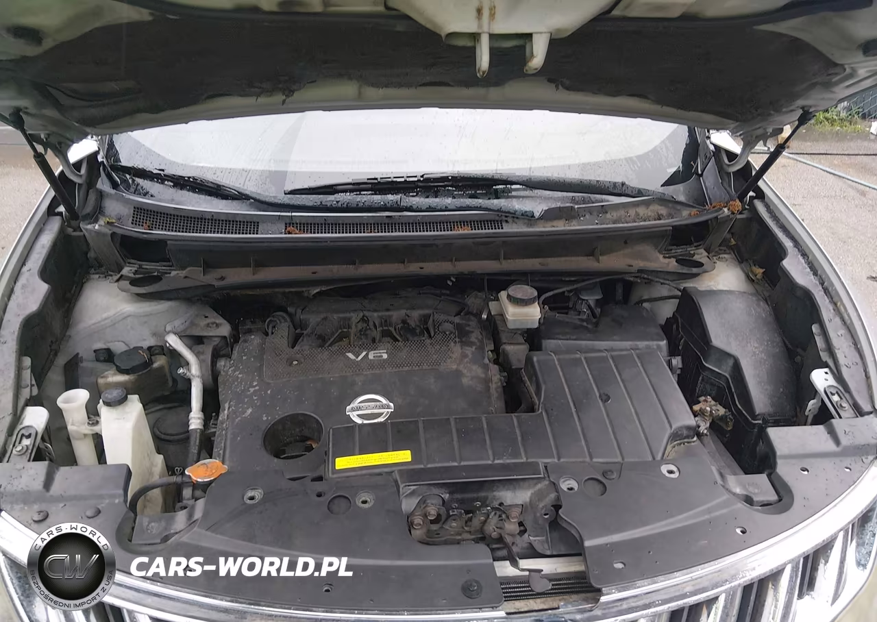2009 Nissan Murano Sl VIN:JN8AZ18W69W132414 - 10