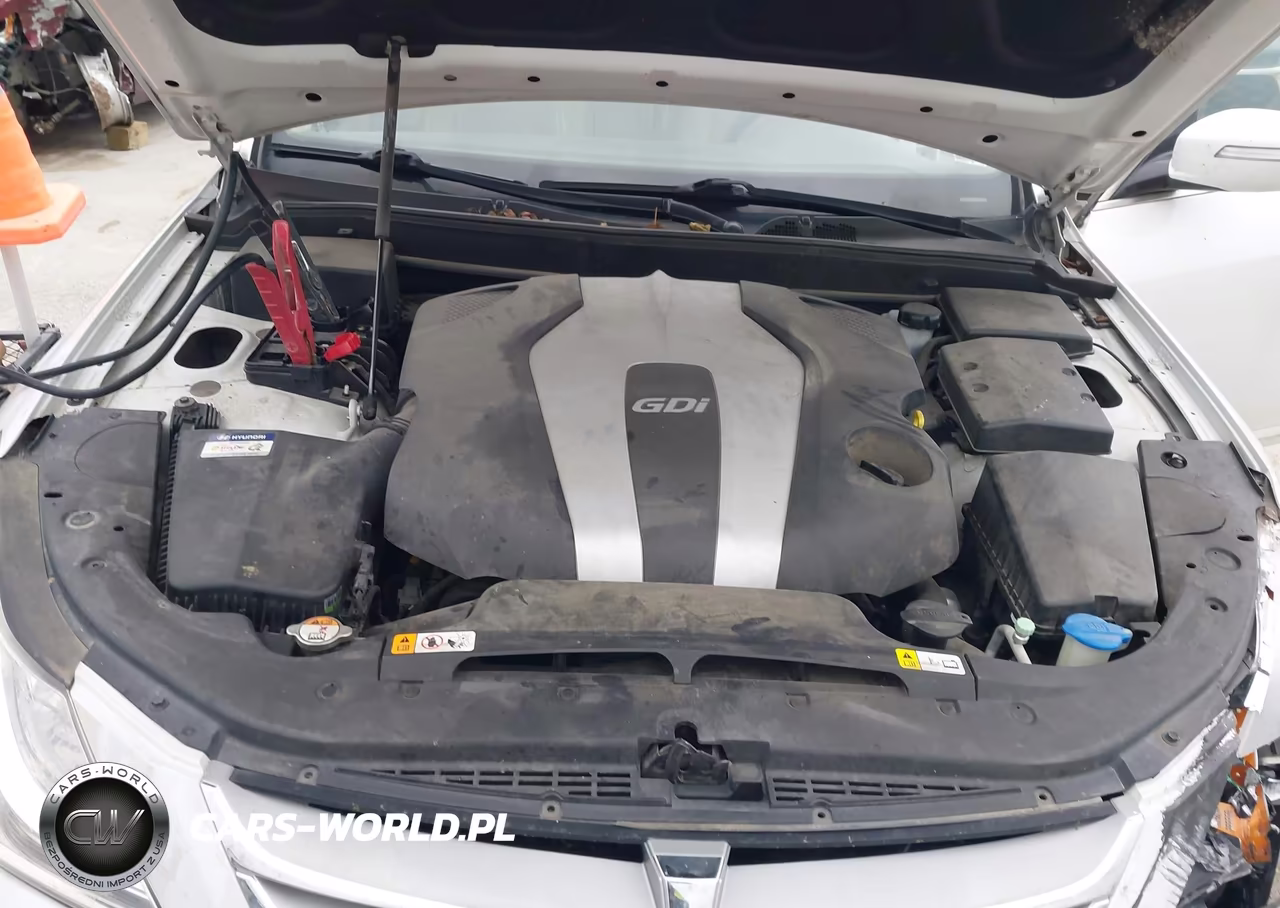 2013 Hyundai Genesis 3.8 VIN:KMHGC4DD7DU233782 - 10