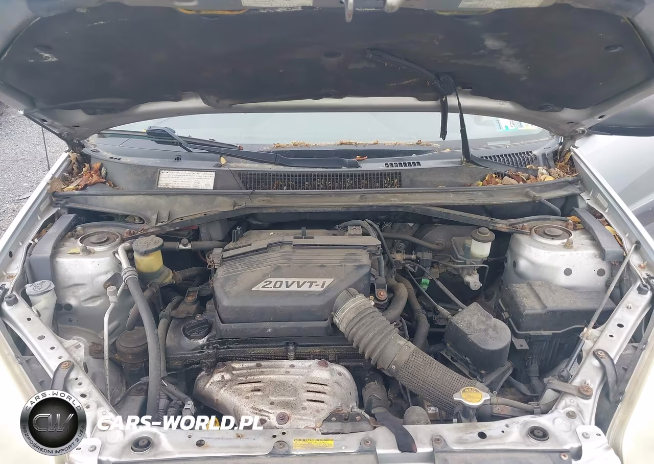 2003 Toyota Rav4 VIN:JTEHH20V236081812 - 10