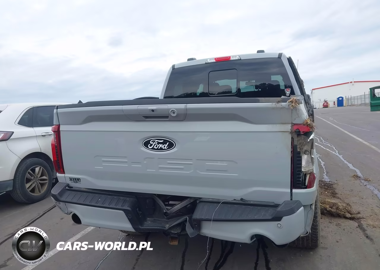 2024 Ford F-150 Xlt VIN:1FTFW3L81RFB44761 - 17