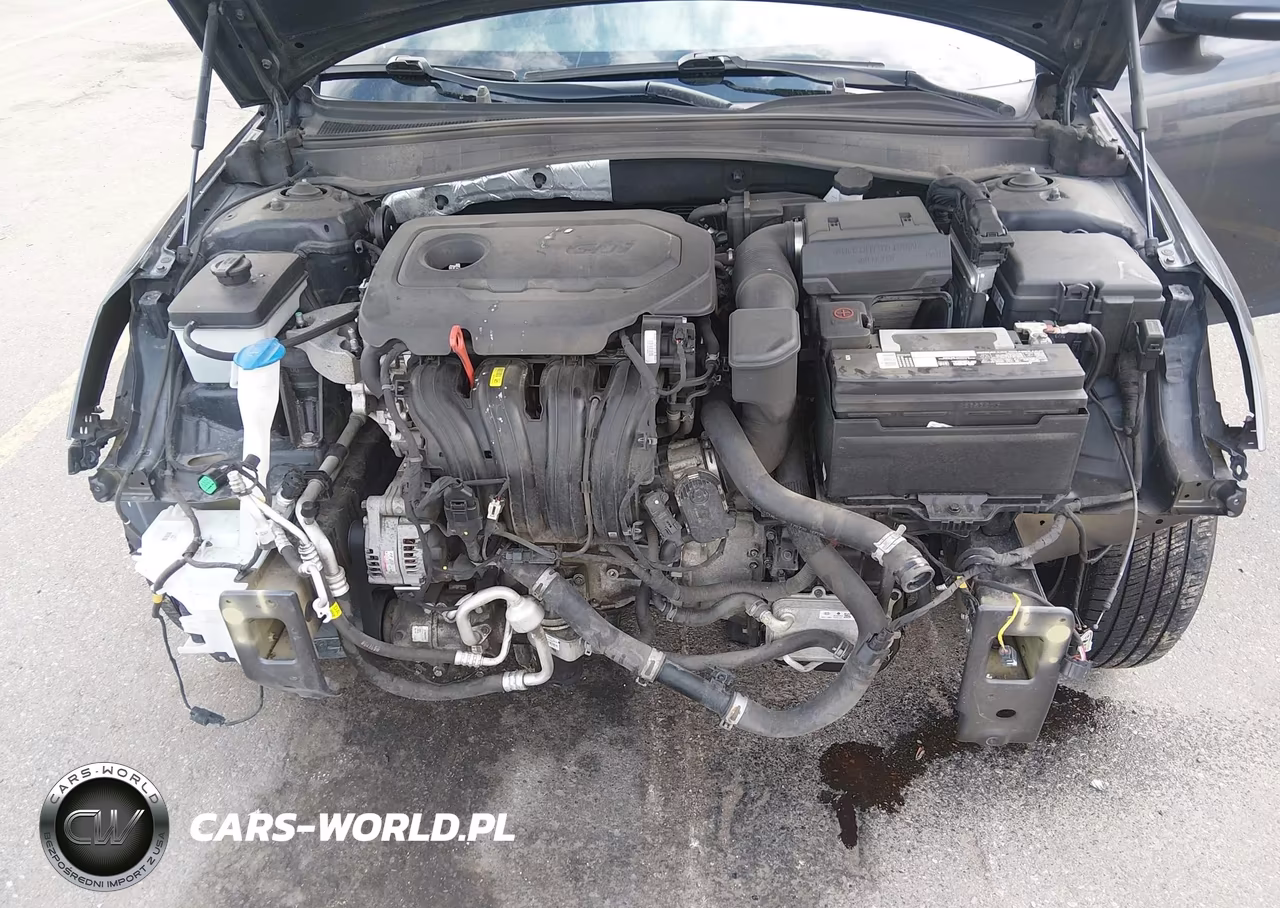 2018 Kia Optima Lx VIN:KNAGT4L36J5211272 - 10