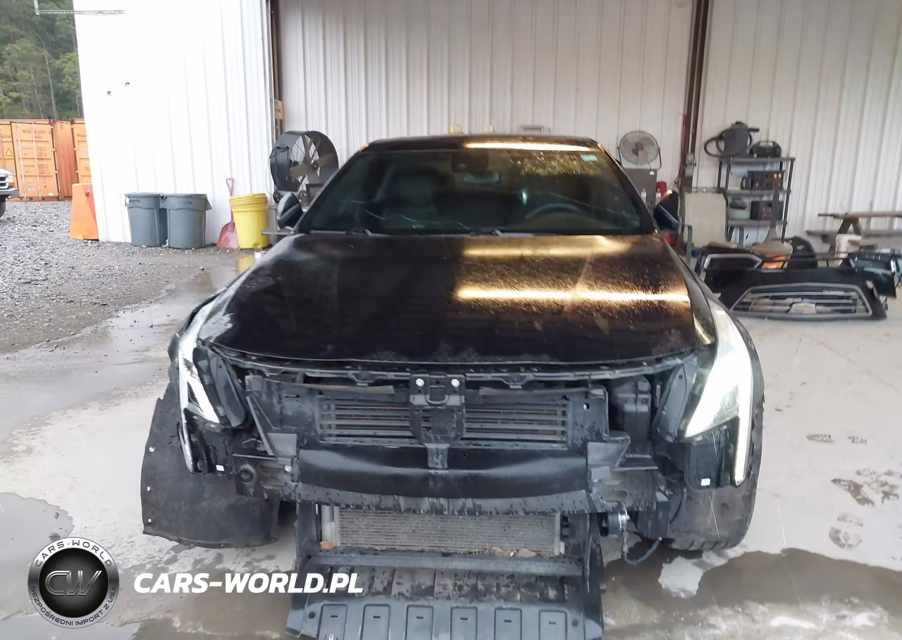 2016 Cadillac Ct6 Luxury VIN:1G6KD5RS9GU151598 - 13