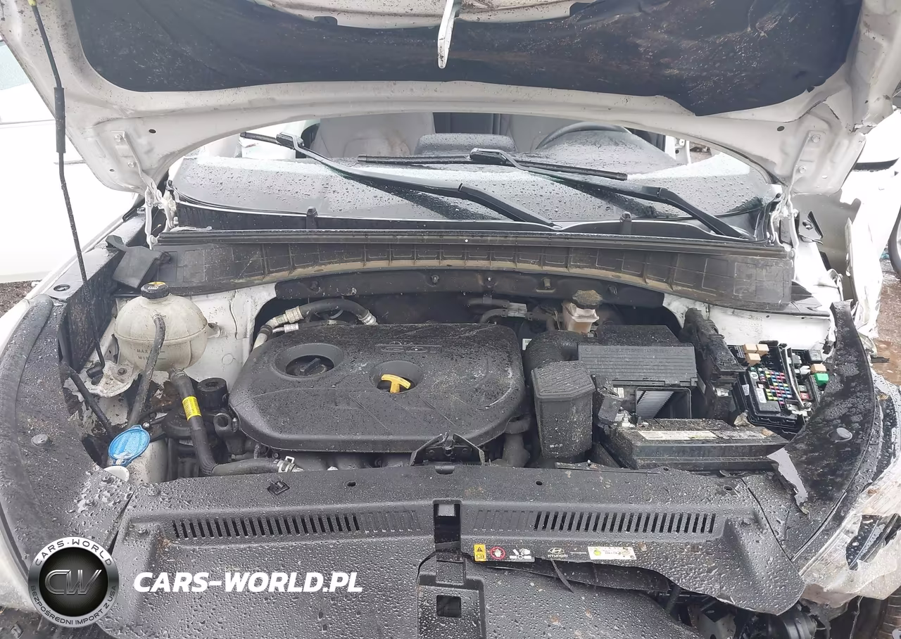 2019 Hyundai Tucson Se VIN:KM8J2CA46KU910728 - 10
