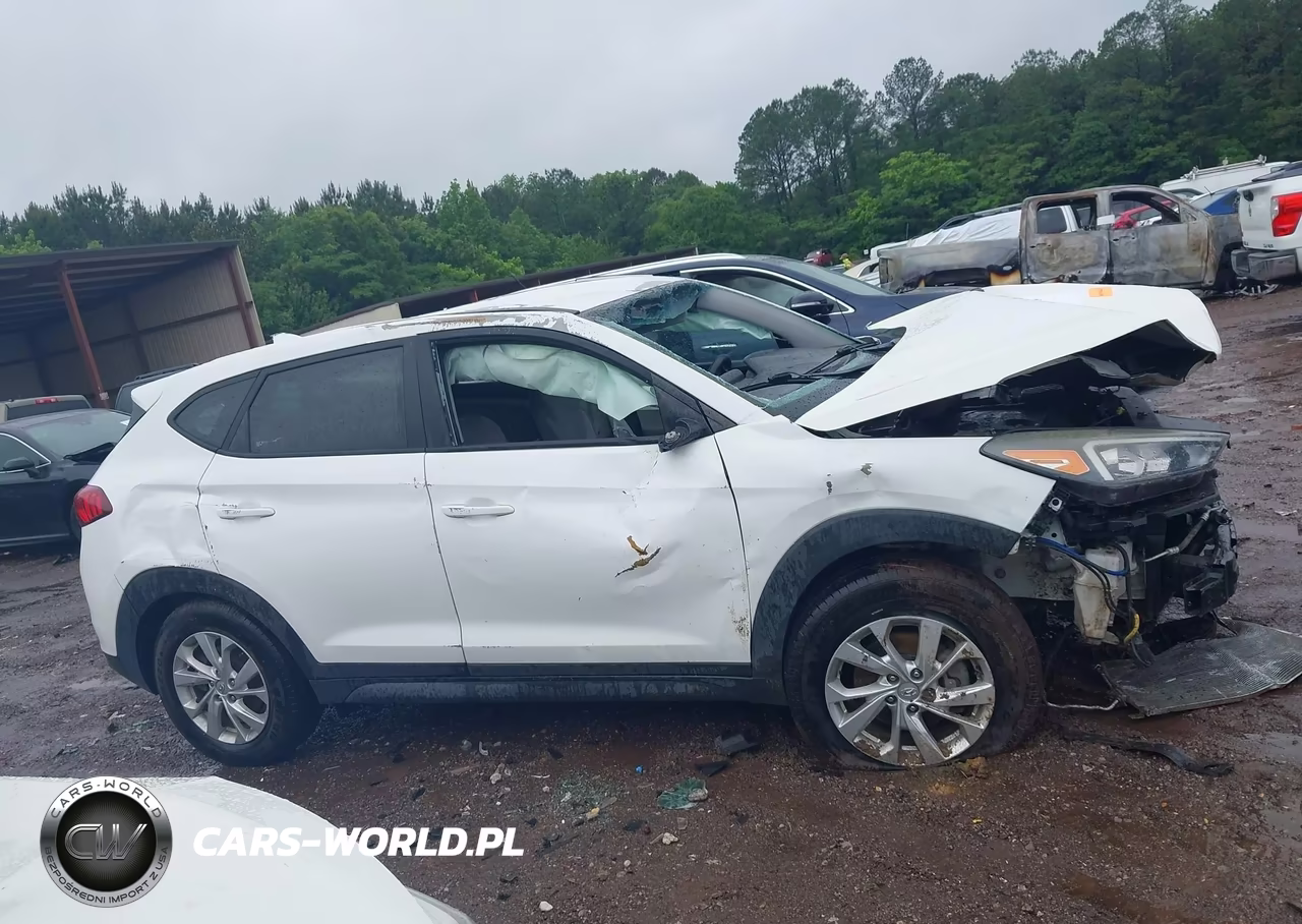 2019 Hyundai Tucson Se VIN:KM8J2CA46KU910728 - 13