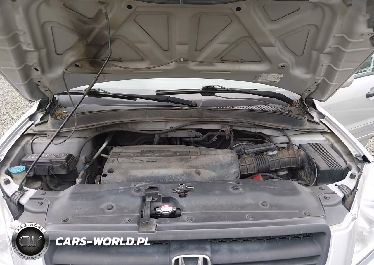 2004 Honda Pilot Ex-L VIN:2HKYF18664H593761 - 10