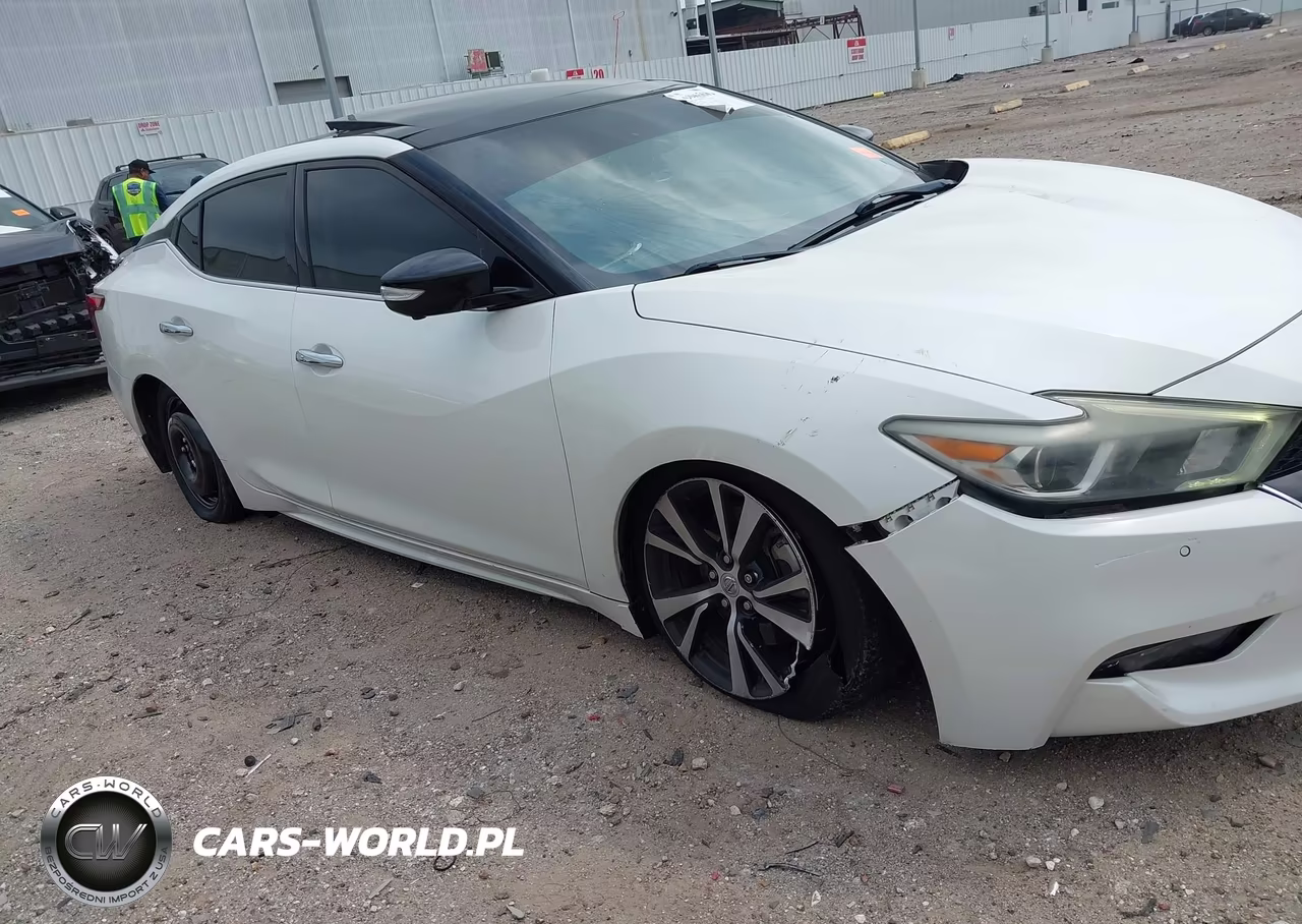 2017 Nissan Maxima 3.5 Platinum VIN:1N4AA6AP0HC450960 - 6