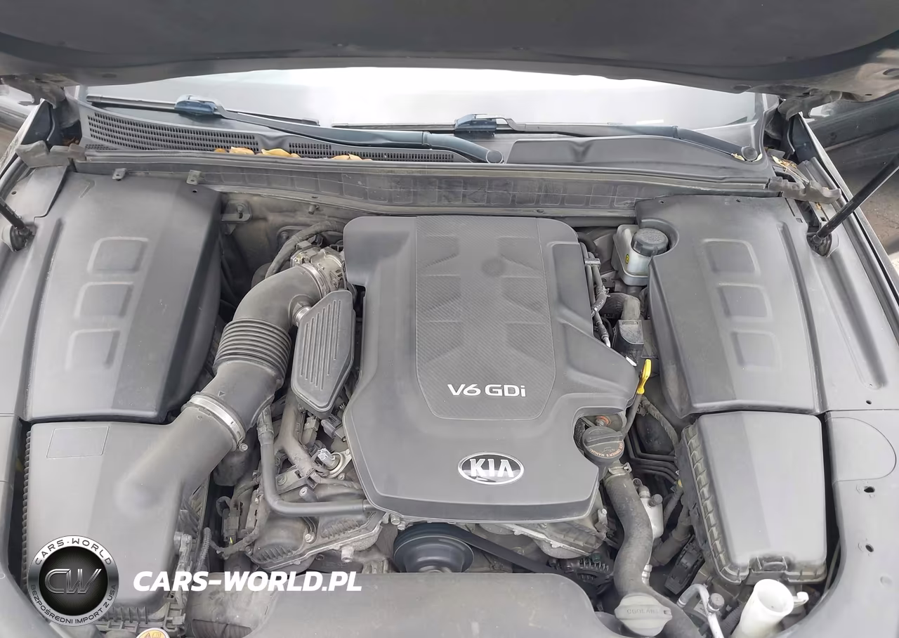2017 Kia K900 Premium 3.8L VIN:KNALT4D37H6035186 - 10