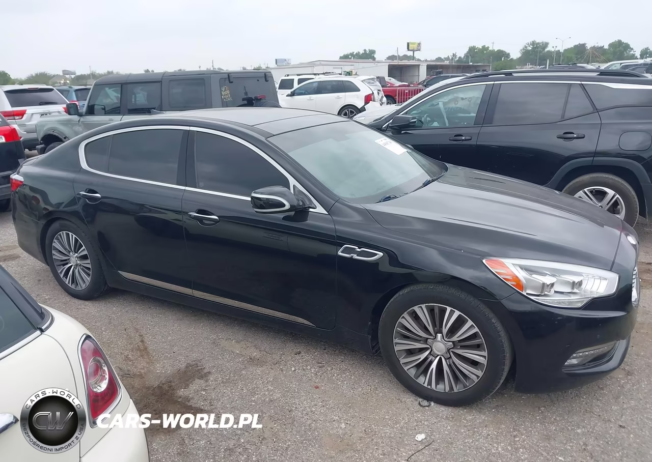 2017 Kia K900 Premium 3.8L VIN:KNALT4D37H6035186 - 13