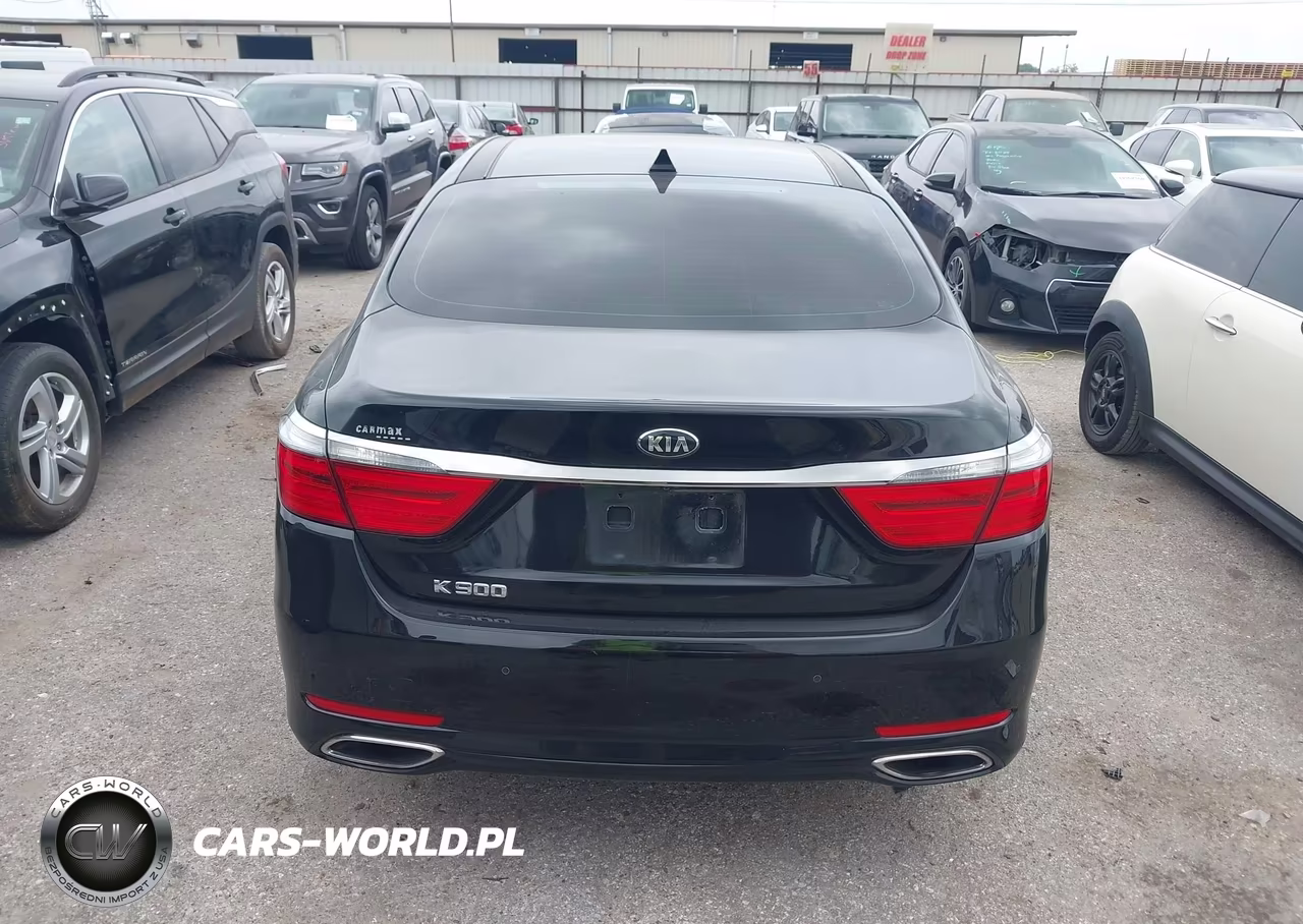 2017 Kia K900 Premium 3.8L VIN:KNALT4D37H6035186 - 16