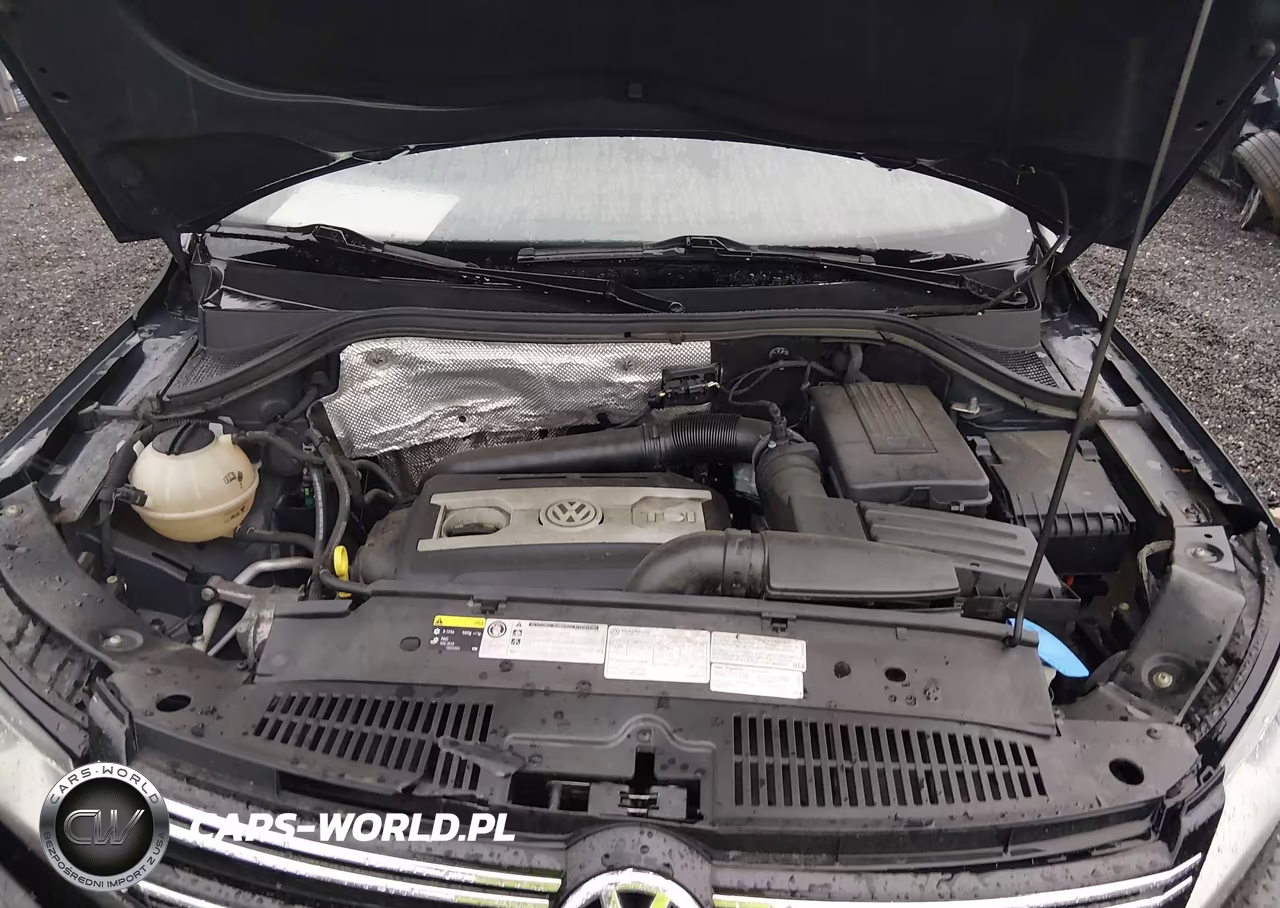 2017 Volkswagen Tiguan 2.0T S VIN:WVGBV7AX2HW508229 - 10