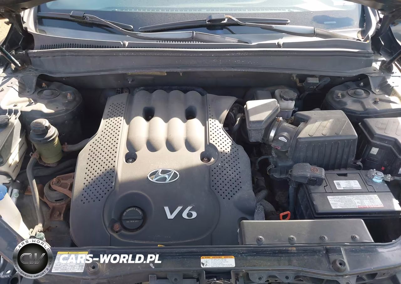 2008 Hyundai Santa Fe Gls VIN:5NMSG13D98H143548 - 10