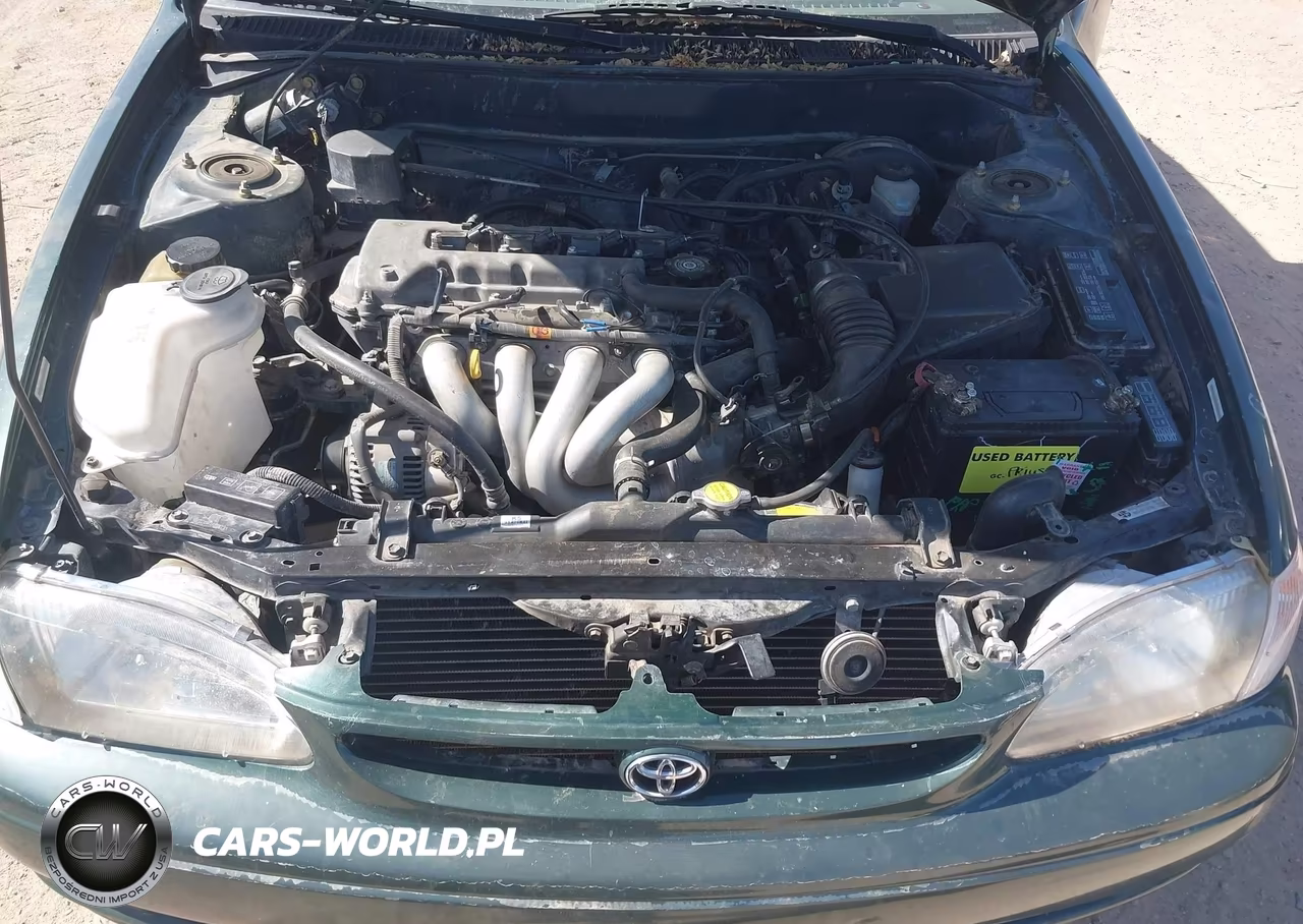 2000 Toyota Corolla Ce VIN:1NXBR12E7YZ397719 - 10