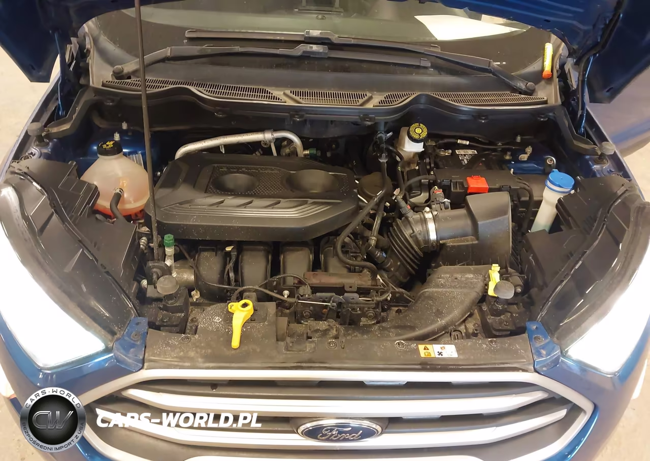 2020 Ford Ecosport Se VIN:MAJ6S3GL6LC319336 - 10