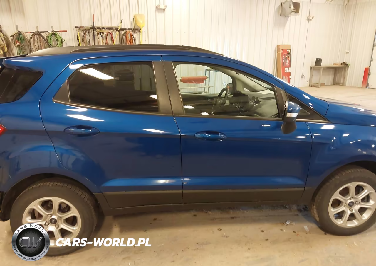 2020 Ford Ecosport Se VIN:MAJ6S3GL6LC319336 - 13