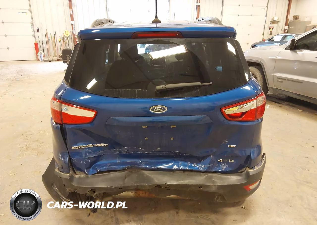 2020 Ford Ecosport Se VIN:MAJ6S3GL6LC319336 - 16