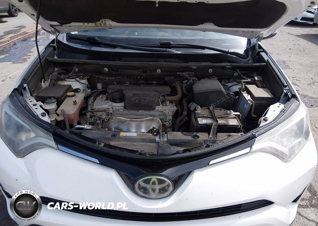 2017 Toyota Rav4 Xle VIN:2T3RFREV7HW619524 - 10