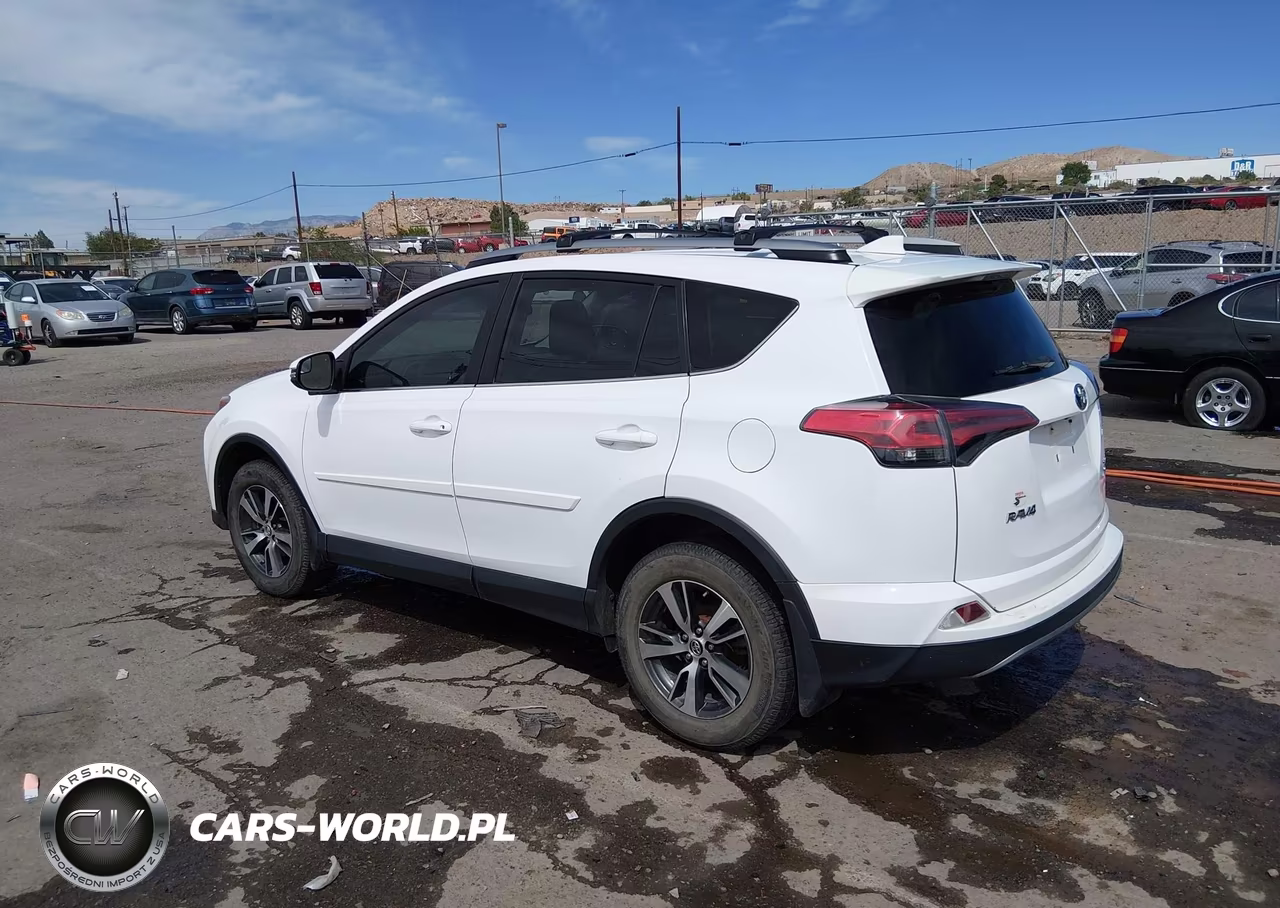 2017 Toyota Rav4 Xle VIN:2T3RFREV7HW619524 - 3
