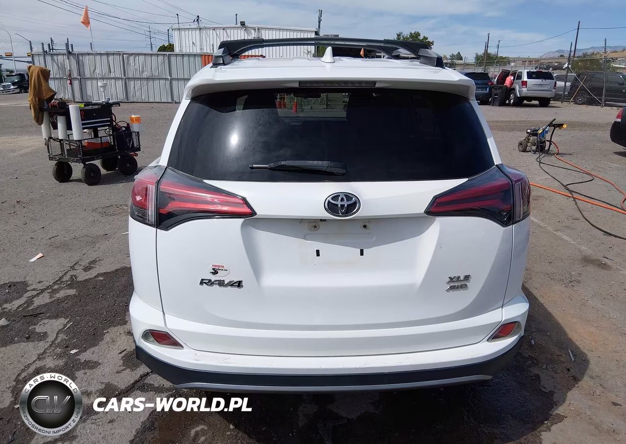 2017 Toyota Rav4 Xle VIN:2T3RFREV7HW619524 - 6