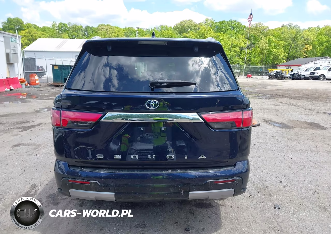 2023 Toyota Sequoia Limited VIN:7SVAAABAXPX013200 - 17