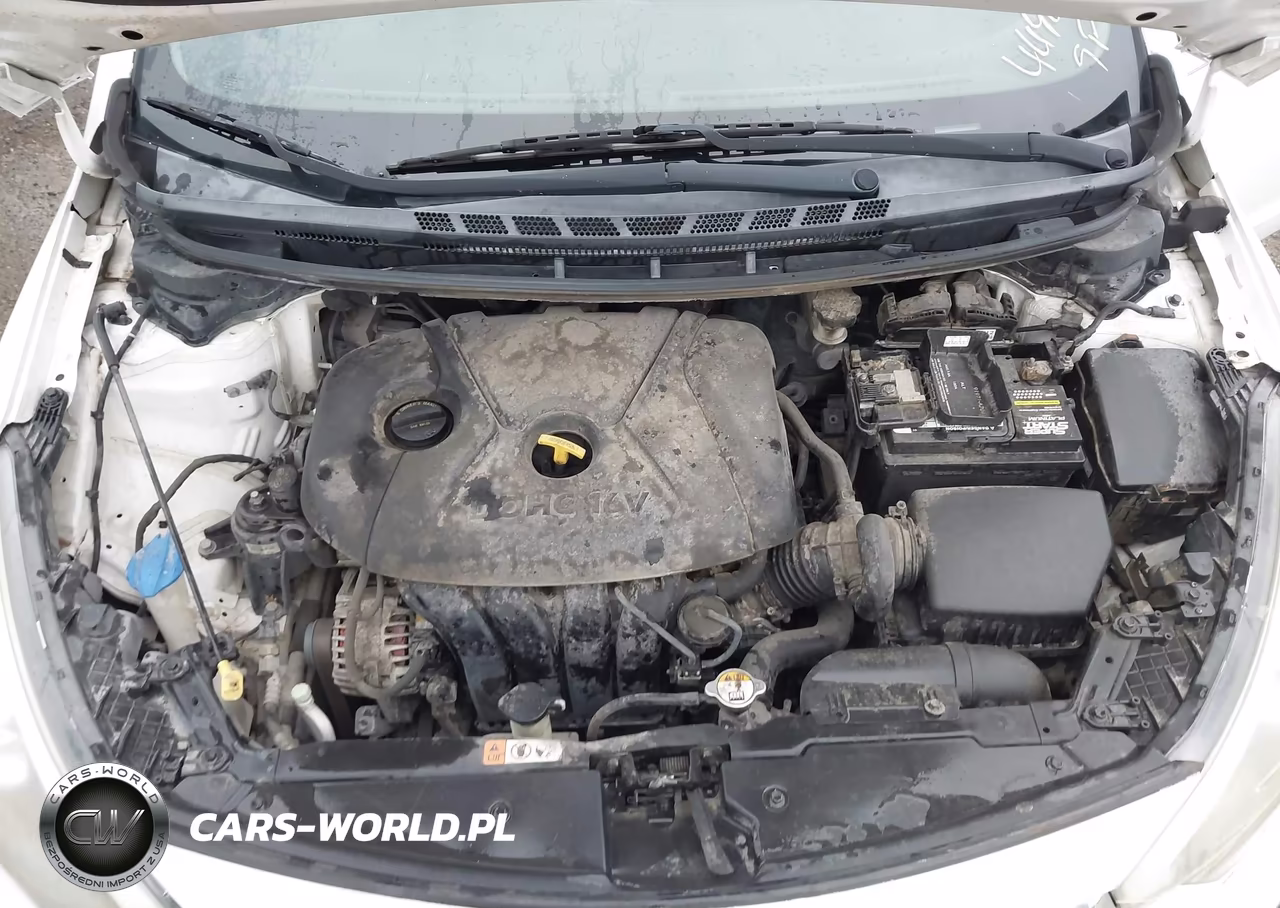 2014 Kia Forte Lx VIN:KNAFX4A68E5115646 - 10